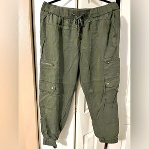 NWOT Banana Republic Olive Joggers